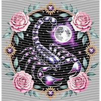 Constellation-XZ 197